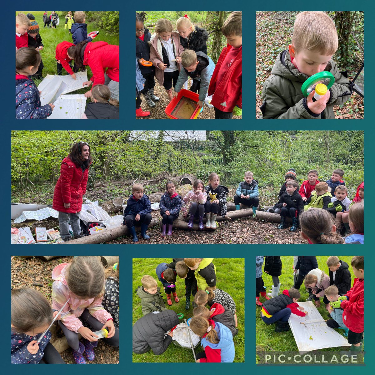 Dosbarth Cangarw were amazed at how many different minibeasts 🐞 they found with the help from our special visitor Rhian, a wildlife expert! Diolch Rhian, we learned so much from you. @RhianRowson @bristolmuseum