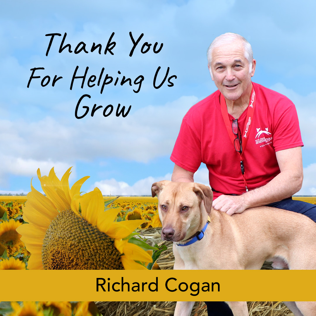April is Volunteer Appreciation Month! This week we'd like to highlight the efforts of a wonderful volunteer since 2022, Richard Cogan! Please visit the link in our bio to read his incredible story! #GetYourRescueOn #VolunteerAppreciation