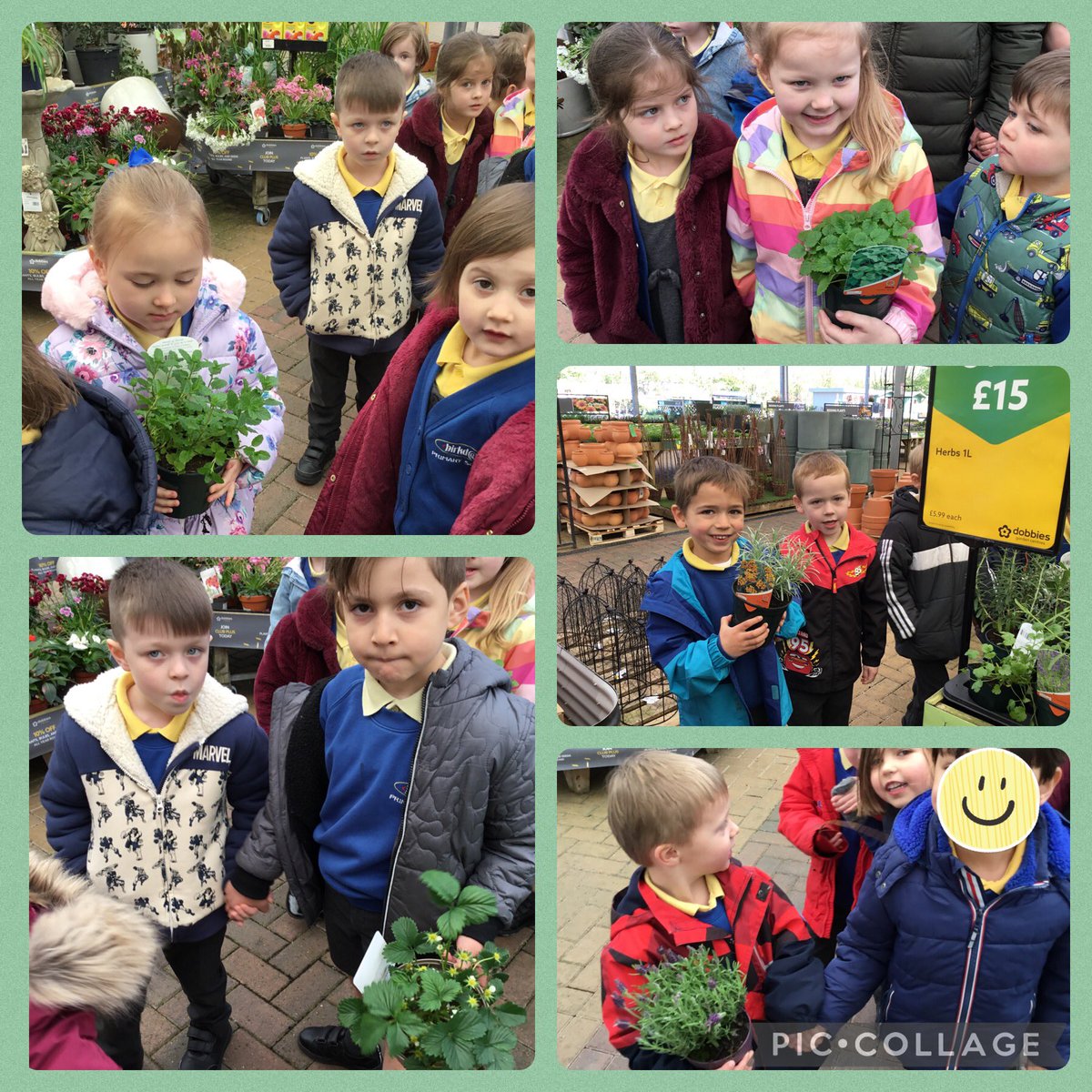 We had a lovely morning at Dobbies Garden Centre this morning buying some plants for our outdoor garden area.