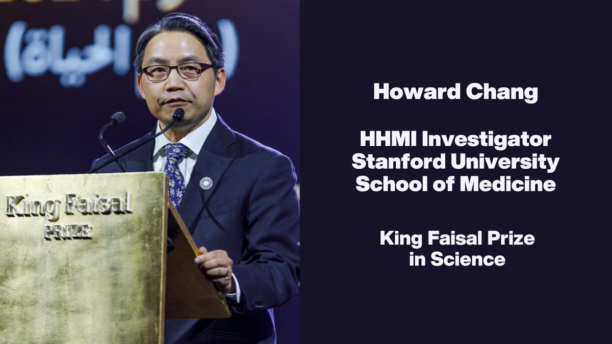 Congratulations to HHMI Investigator Howard Chang (<a href="/HowardYChang/">Howard Chang</a>), who was awarded the King Faisal Prize in Science for unveiling the intrinsic role of long non-coding RNAs in gene regulation and function.

Learn more: hhmi.news/3JzF2UY