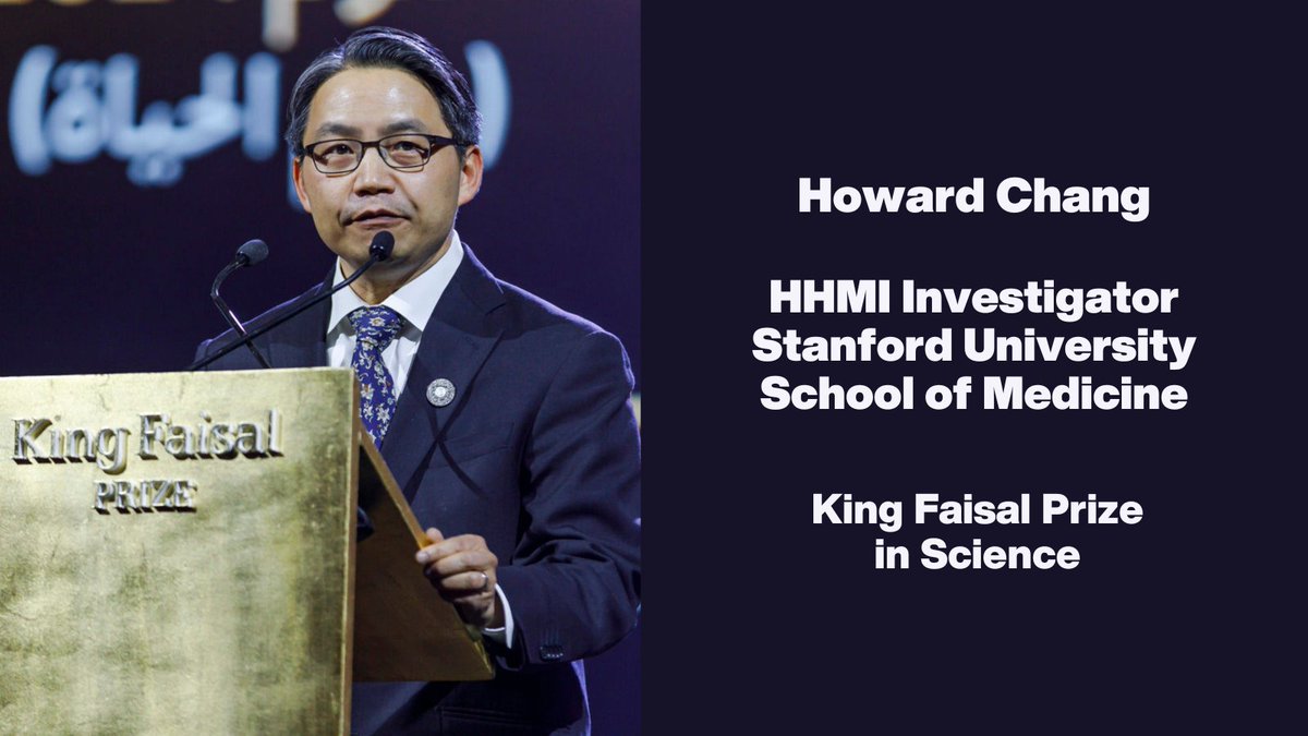 Congratulations to HHMI Investigator Howard Chang (@HowardYChang), who was awarded the King Faisal Prize in Science for unveiling the intrinsic role of long non-coding RNAs in gene regulation and function. Learn more: hhmi.news/3JzF2UY