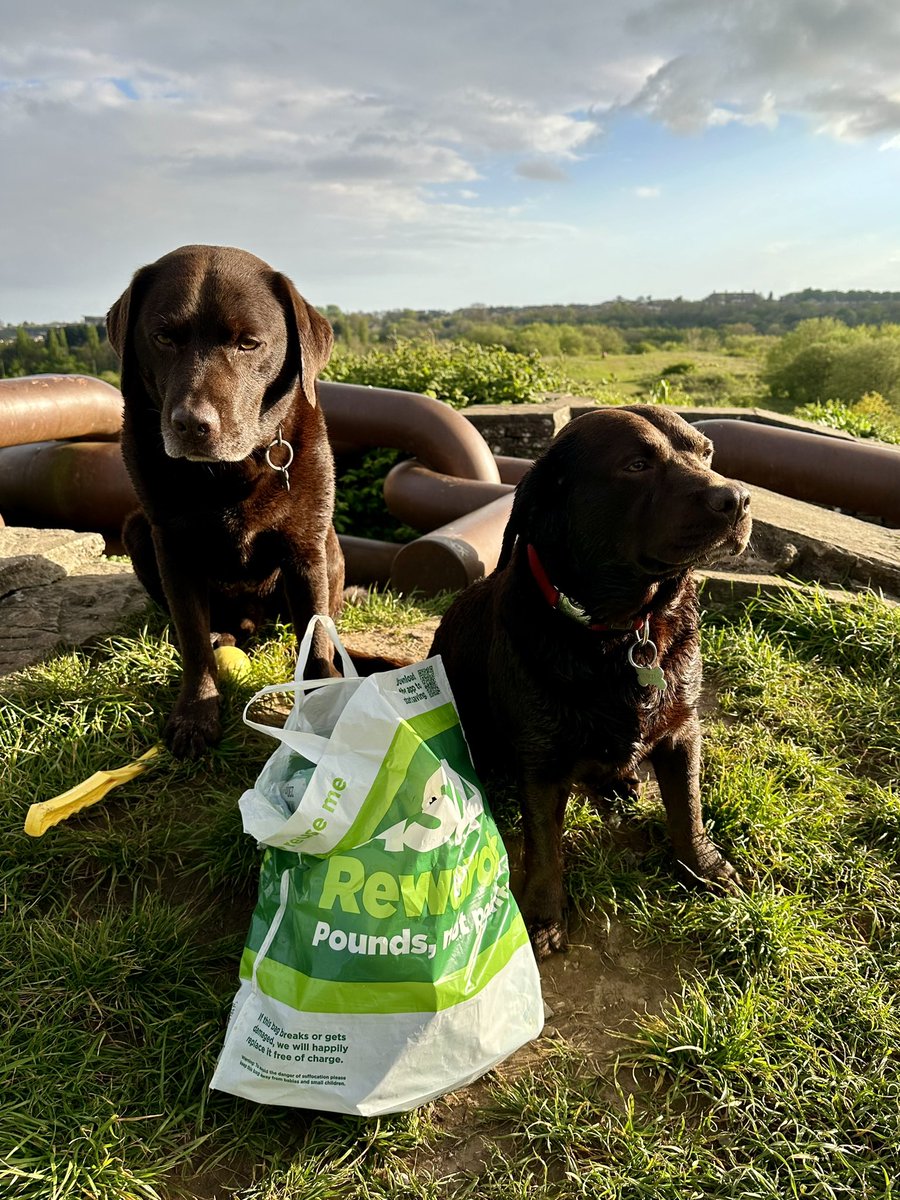 Spur of moment litterpick at Grangemoor Park with Dave & Portia tonight. A discarded plastic bag just waiting to be filled! 
Cleaner around top of hill now, but sculpture’s in a sad state. What’s happened to promised park renovation/improvements @cardiffcouncil @GrangetownLAB?