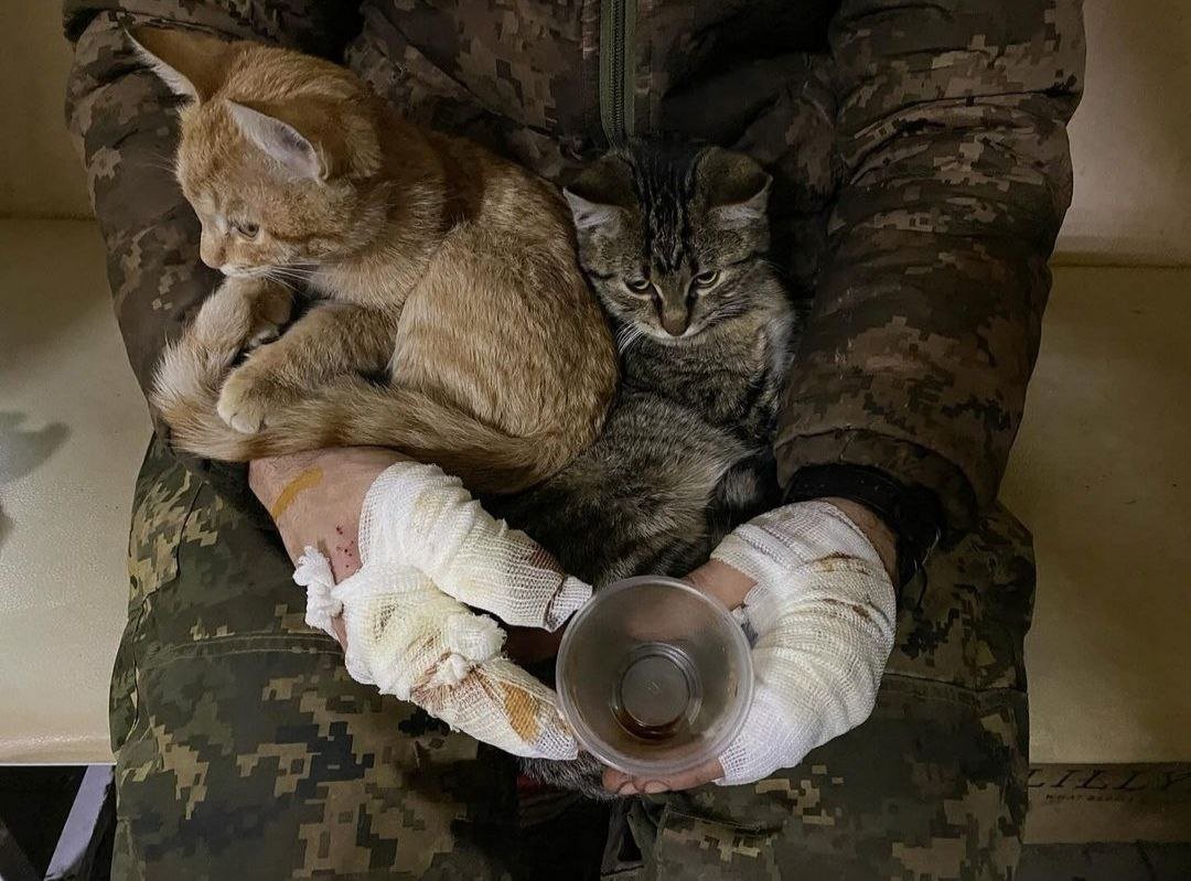 Instead of a thousand words. May God bless these hands. Donetsk region. 📷: nathalie.vlasenko/Instagram
