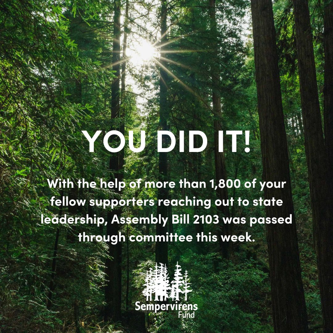 👏 👏 With 1,800+ of your fellow supporters reaching out to state leadership, #AB2103 was passed through committee this week. This is a huge step forward to rebuild our fire-damaged parks. Thank you <a href="/AsmGailPellerin/">Assemblymember Gail Pellerin</a> and members of Committee on Water, Parks, and Wildlife!