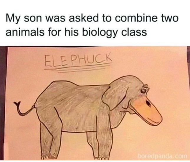 .