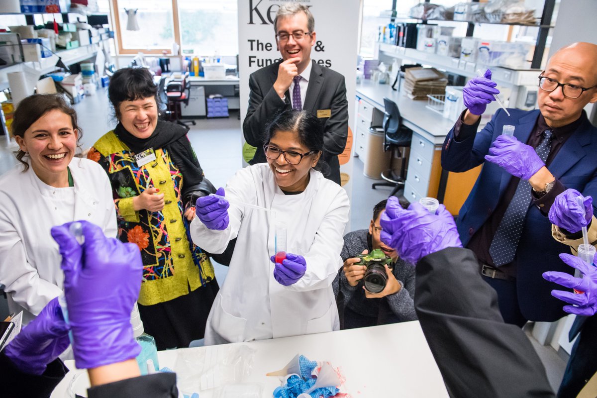 The new #angiosperm tree of life grew out of a wonderful collaboration across <a href="/KewScience/">Kew Science</a>, <a href="/PlantsAus/">AusPlants</a> and 100s of scientists and herbaria worldwide. All data are #openaccess and can be browsed via treeoflife.kew.org