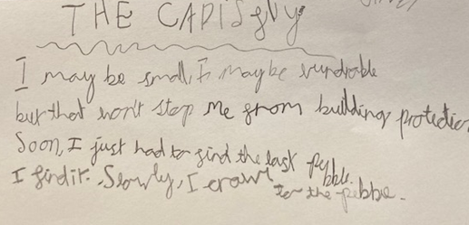 *Chalk Stream Poet Laureate Competition update* Wonderful poems flowing in. This 7-yr old became a caddisfly. Medal ceremony at House of Commons, judges include award-winning children's author @lindanewbery. What are you waiting for?@VixL @XrRebel @PJennings88