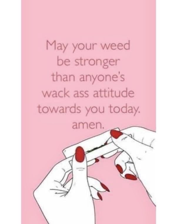 iFlyHigh™ 🎄 tweet media
