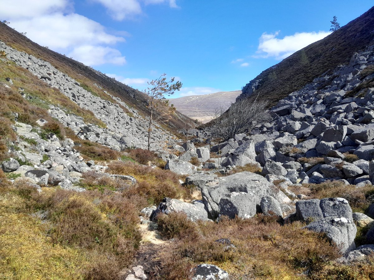 Blue skies and bitter breeze - today in the Cairngorms
