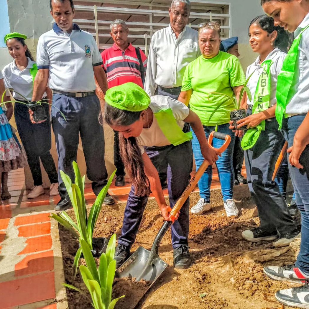 🇻🇪🌽🌱PTMS FALCÓN 🌱🌽🇻🇪 tweet media