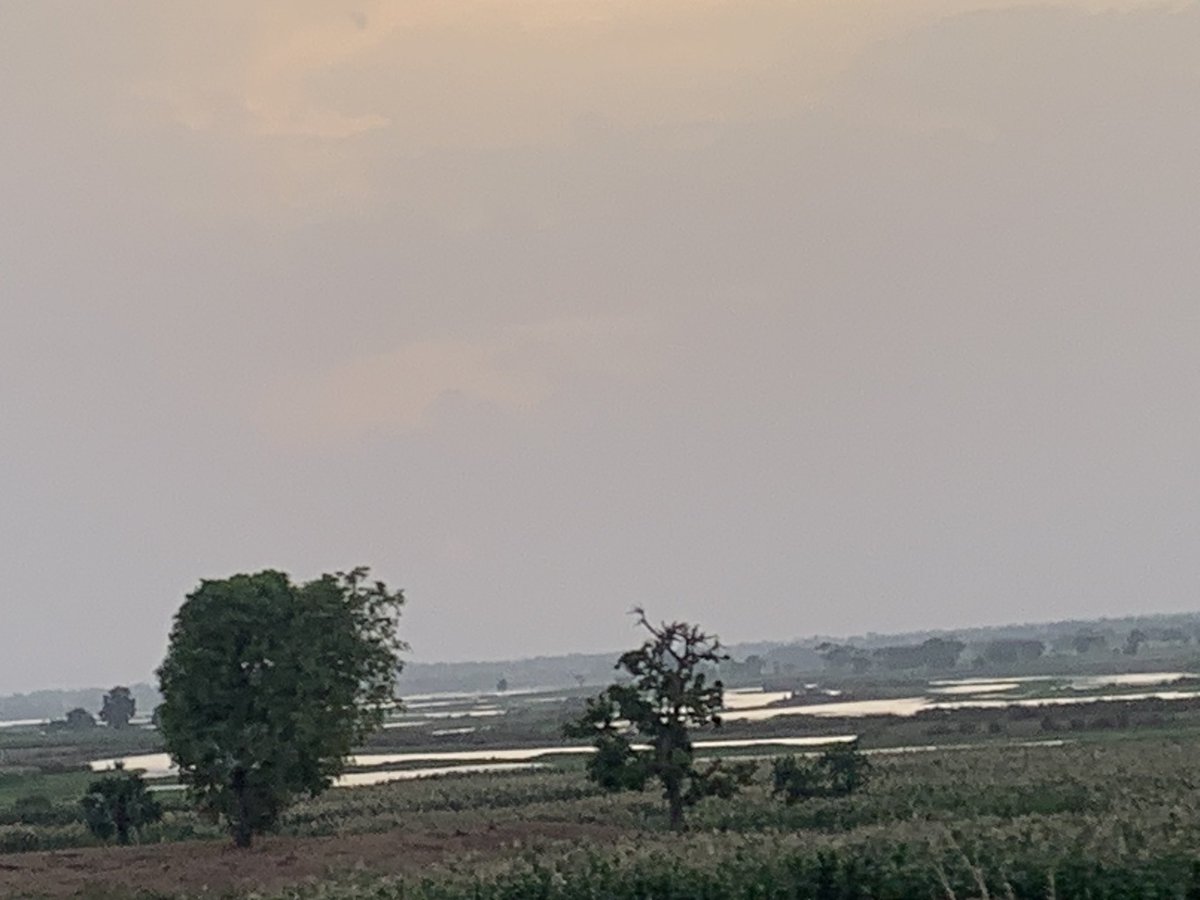 MuhammadUKargi's tweet image. Nature💯 

#plantrees