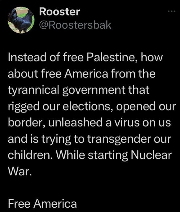 Instead of free Palestine, how about free America from the tyrannical government that rigged our elections, opened our border, unleashed a virus on us and is trying to transgender our children. While starting Nuclear War. 🇺🇸Free America 🇺🇸