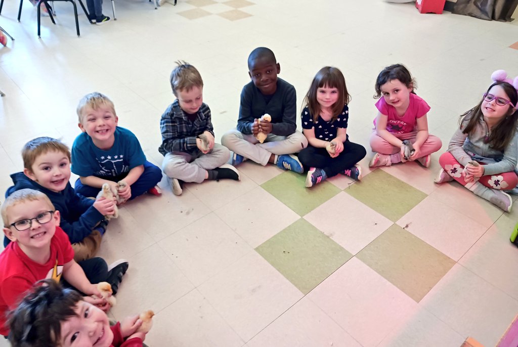 Having chicks in our classroom has taught us about empathy, self-regulation, diversity and the beauty of nature. @alcdsb @alcdsb_olmc #ALCDSBMYSP #ALCDSBblessed #Togetherisbetter