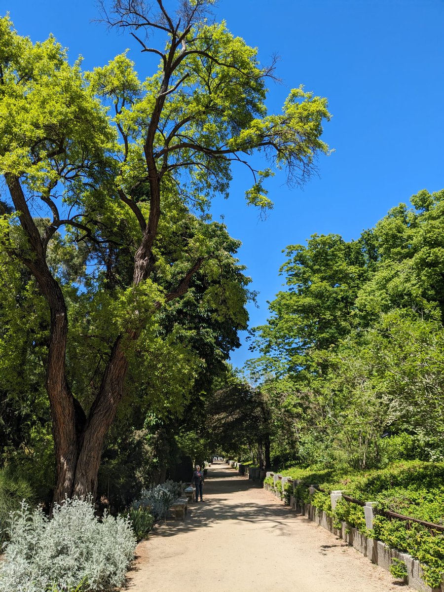 Green recharge.......#park #naturephotography #green #greenspaces #cityescape #lifeisalwayson #urbanjungle #photography #photo #photooftheday #photographer