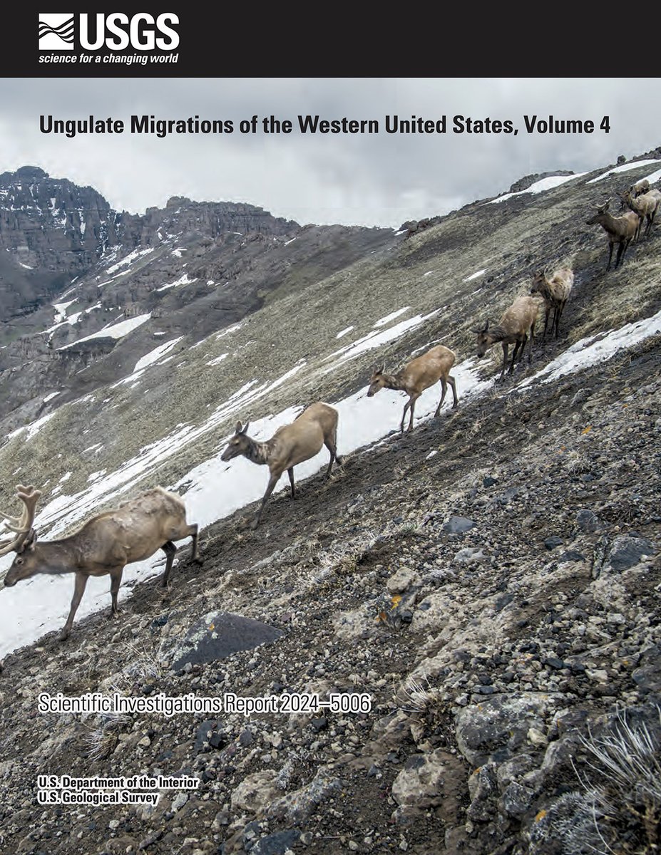 UW's latest research maps the epic journeys of ungulates in the Western U.S.! Check out how this work is guiding conservation efforts. Read More: tinyurl.com/36492vvm

#UWyoResearch #MigrationResearch