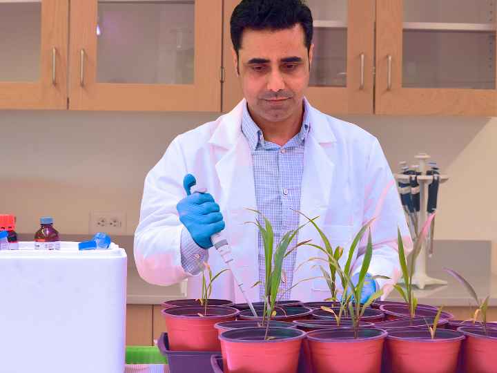 Happy Earth Week! 🌍 The #CullenCollege never stops innovating for a sustainable future! Discover how Abdul Latif Khan is leveraging a USDA grant to study real-time photosynthesis. Dive into this intriguing story here: egr.uh.edu/news/202311/kh…