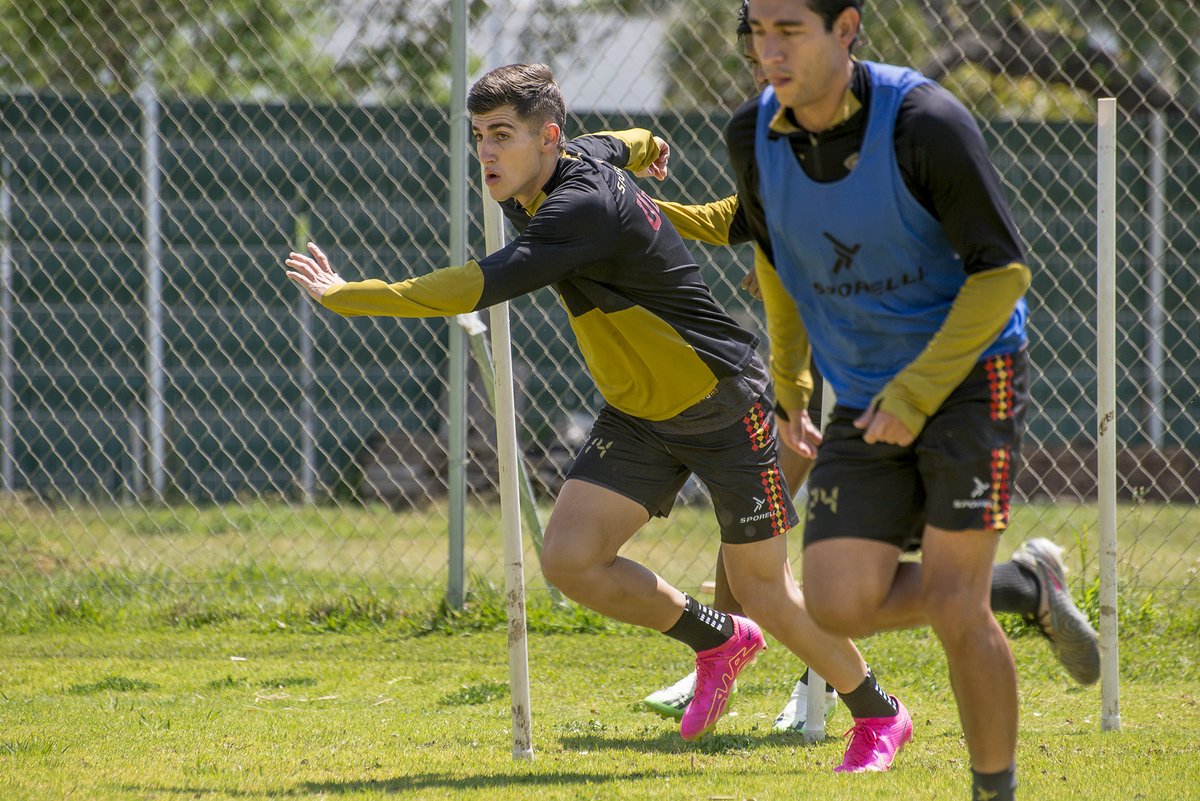 Leones Negros de la UdeG tweet media