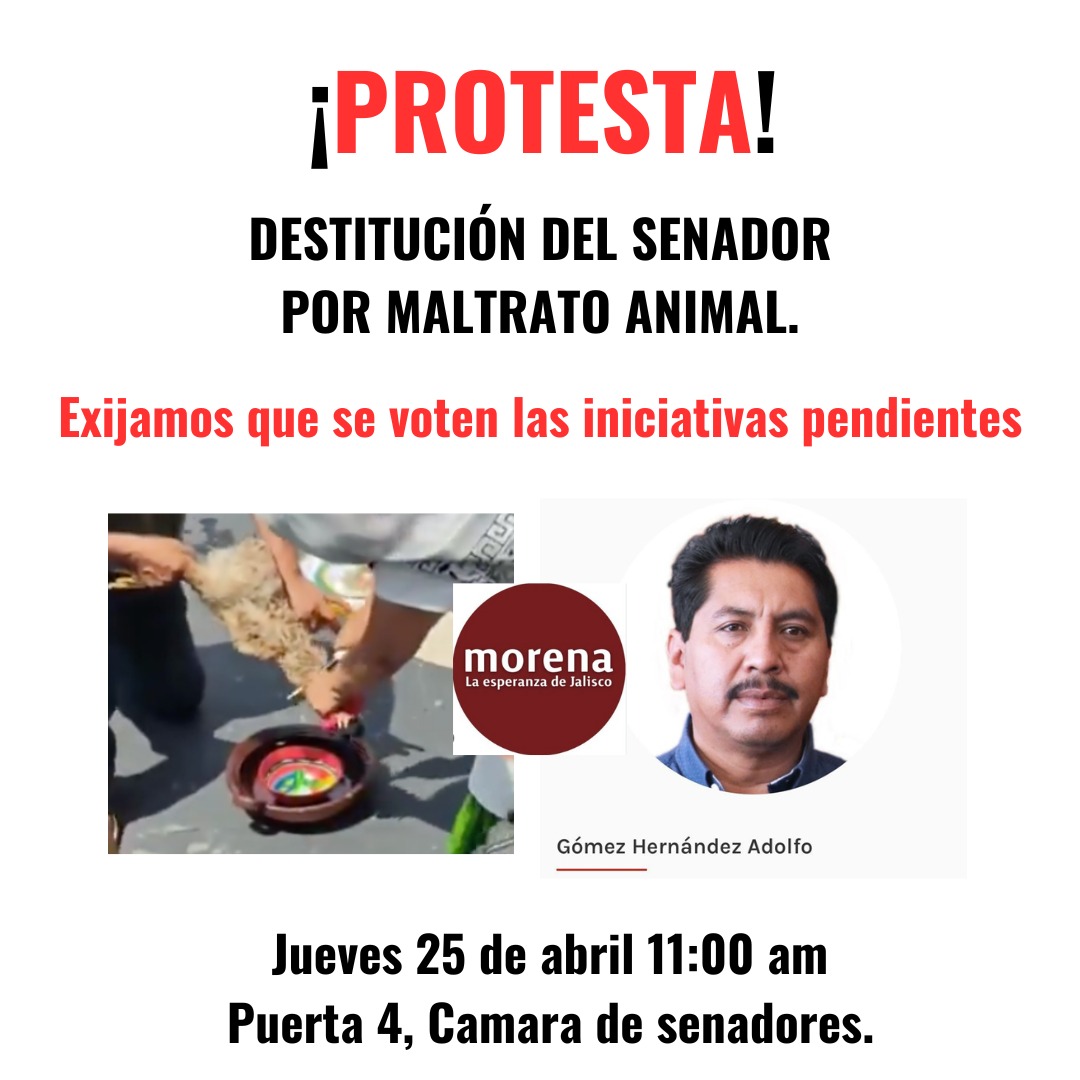 A toda la comunidad #ANIMALISTA sigamos exigiendo y alzando la voz por los seres SINTIENTES , exigimos la destitución del senador @AdolfoGomezHdez de @MorenaSenadores así como sesionar para votar las iniciativas pendientes en materia #animal #LeyDeBienestarAnimal #CDMX