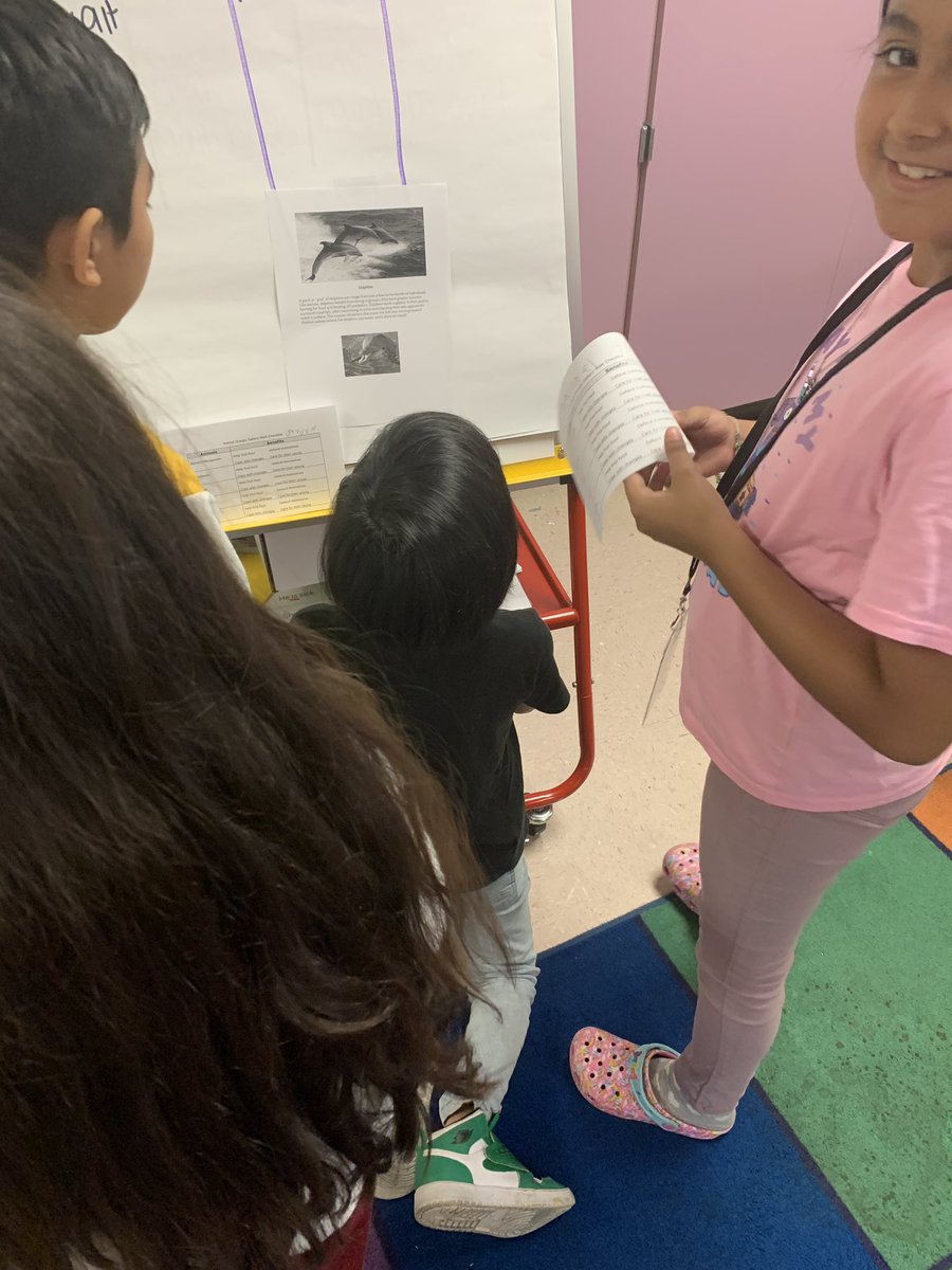 Working in groups to learn why animals work in groups to survive.