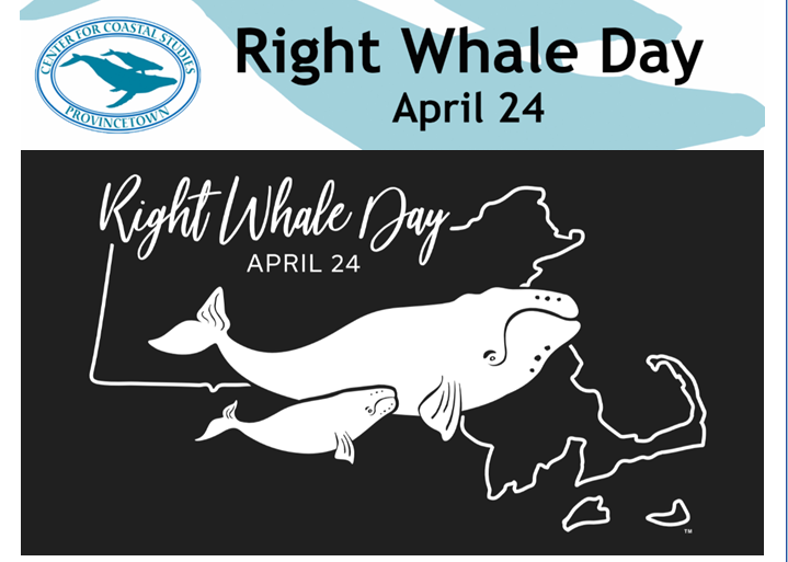 HAPPY #RightWhale Day!

#savethewhales
#saveouroceans