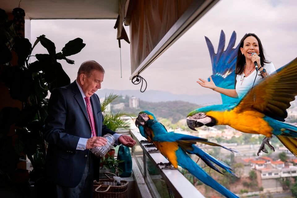 Lectura de la foto: En Venezuela hasta las Guacamayas están con Edmundo.