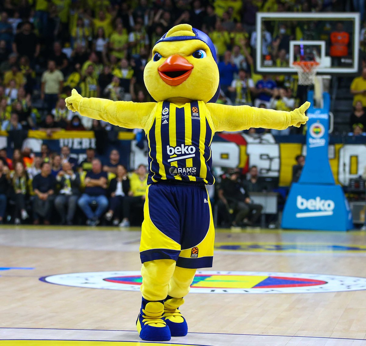 Look between Q and E on your keyboard 😉 #Yellow @FBBasketbol
