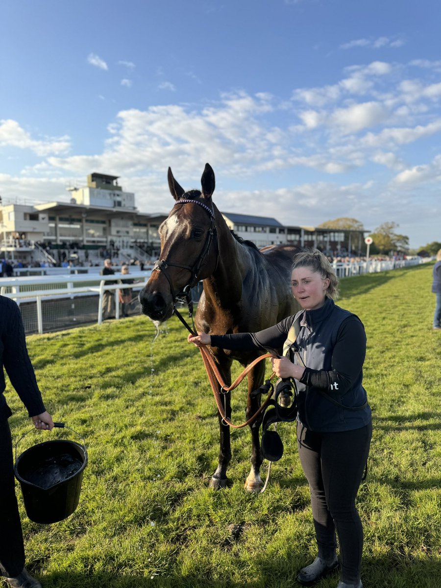 Very good results from both Owners Group runners @TauntonRacing today. Jaramillo bounced back to form to finish fourth under Ben Bromley, & Swift Hawk finished second under Harry Cobden. Here’s Jaramillo with Maeva and Swift Hawk with Megan. Let’s hope they can all win next time!