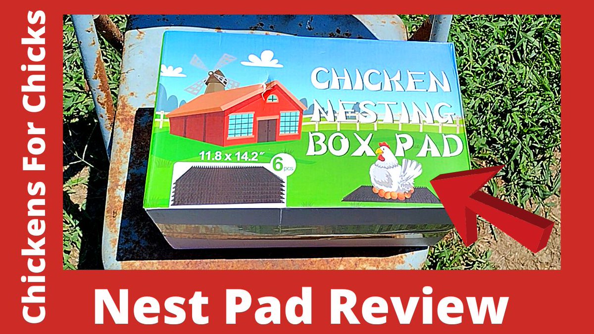 Complete Black Nesting Pads Review
i.mtr.cool/gcakhwwrru
#nestingpads #chickens #backyardchickens #ChickensForChicks #ChickendaleAR #Chickendale #CFC