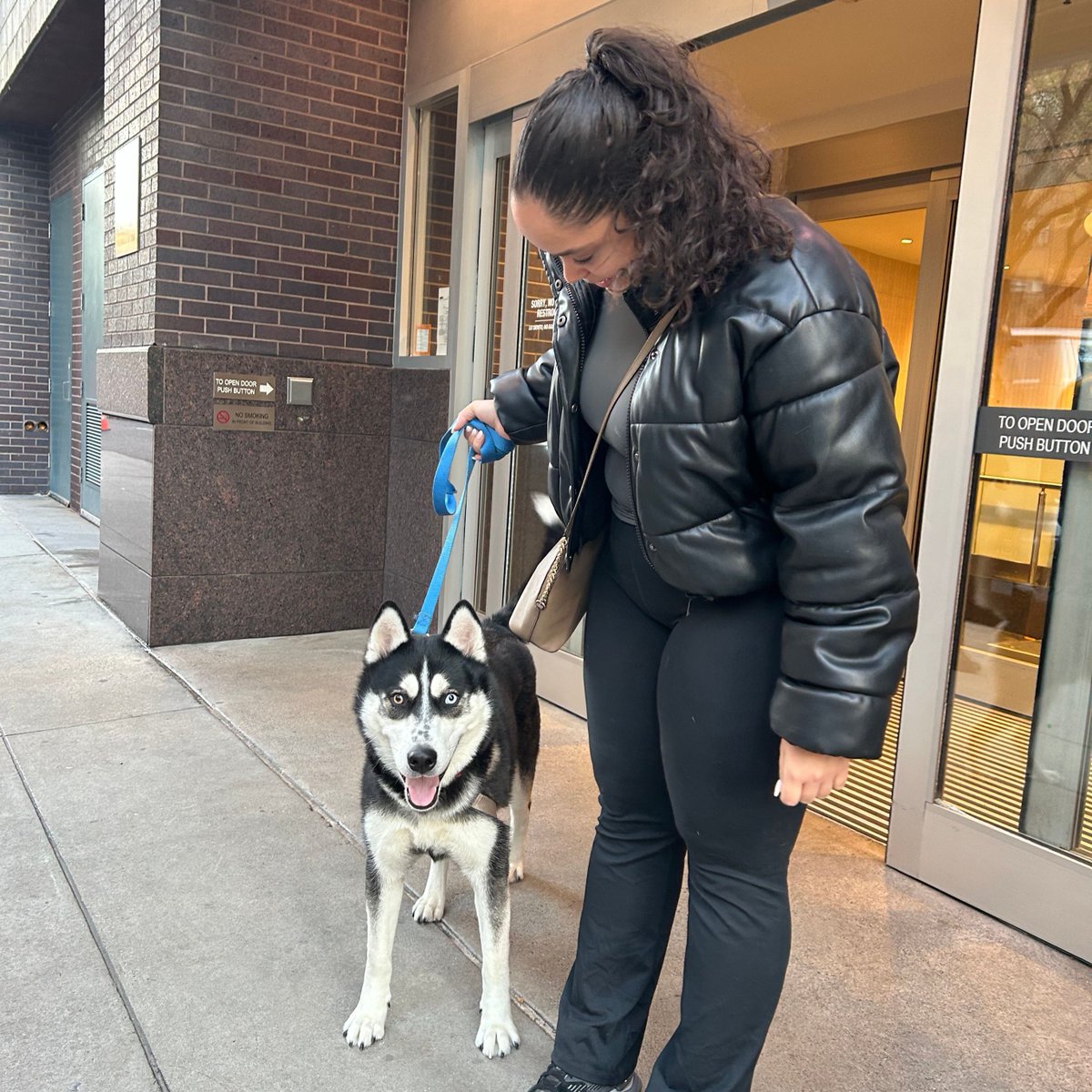 Looking for a mid-week boost? Enjoy these adorable photos of dogs with their new, loving families 🥹🧡 Visit aspca.org/nycadopt to find your new furry friend today!