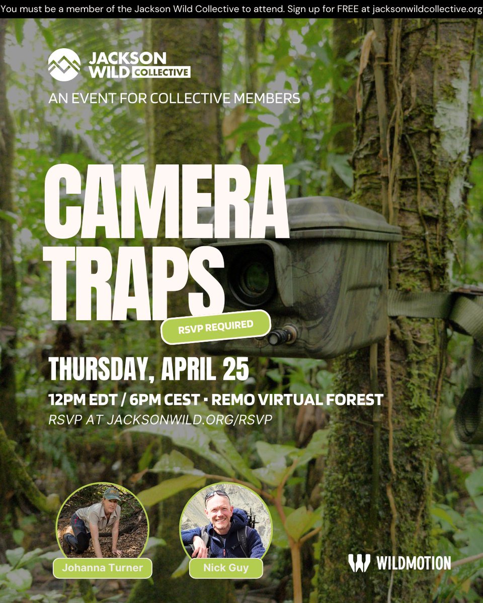 The Collective Virtual Series continues! Join us tomorrow at 12pm EDT / 6pm CEST for an exclusive talk on camera traps led by two of the best trappers, Johanna Turner and Nick Guy. #cameratraps #wildlife #filmmaking

🐾 RSVP: live.remo.co/e/camera-traps