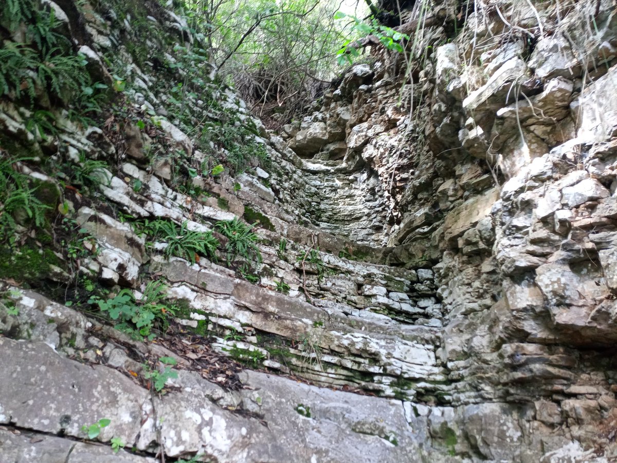 A spasso per il basso Cilento: da Ciolandrea a Scario.