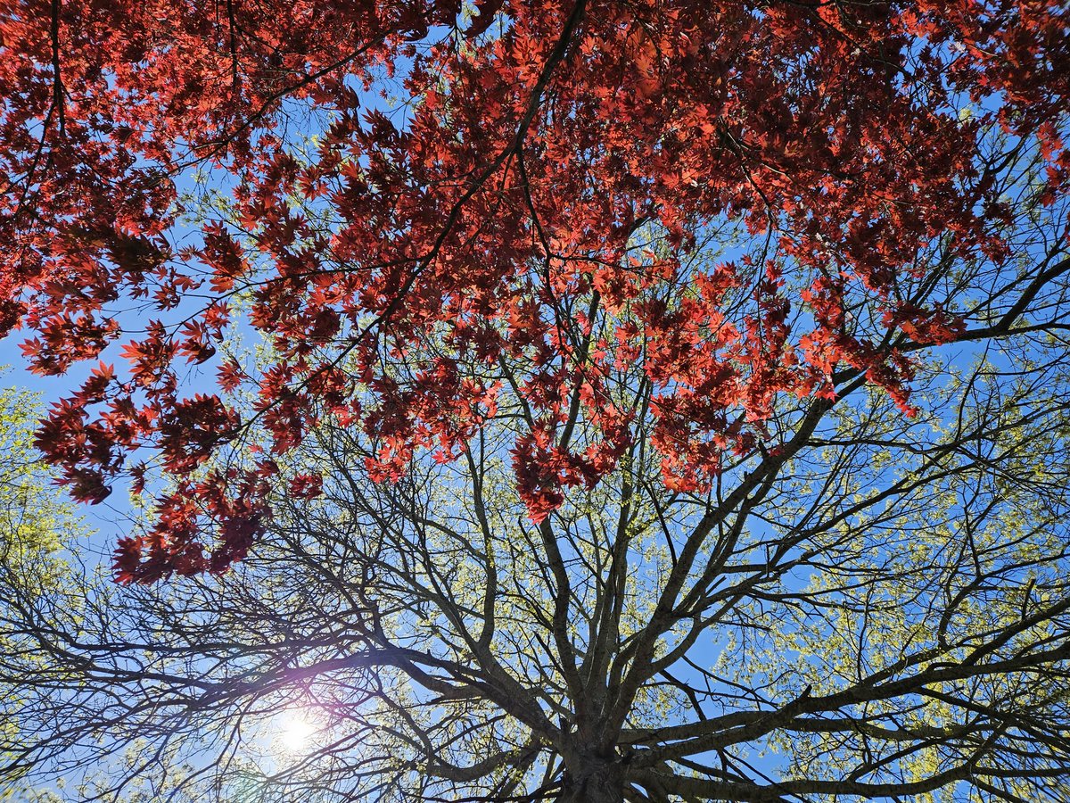 aaaryiaaa's tweet photo. @Matt_Pinner https://t.co/9rZaVCcWX1