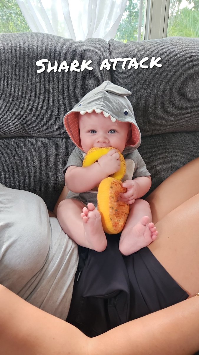 TrentScheids's tweet photo. I brought my son to Florida and he already turned into a shark https://t.co/G22svfCnqO