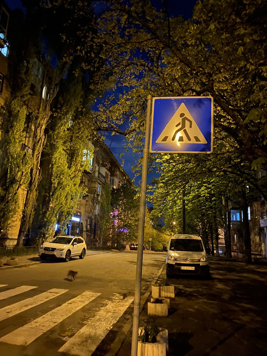 Lslslsmr's tweet photo. отак трошки естетики з життя https://t.co/ZgI4WU3msg
