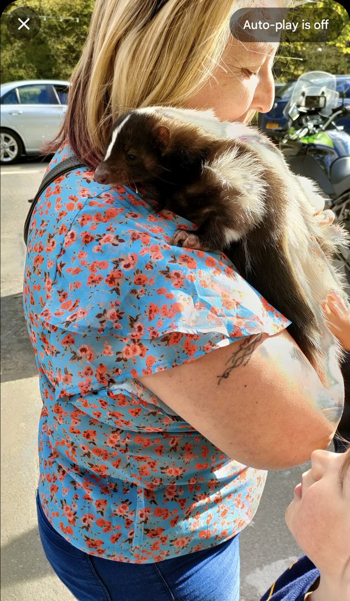 Two years ago today I was walking the Matlock Bath promenade (most inland in the UK, you'll be delighted to hear) and a woman walked by with a skunk on her shoulder.

Matlock Bath is that type of place.