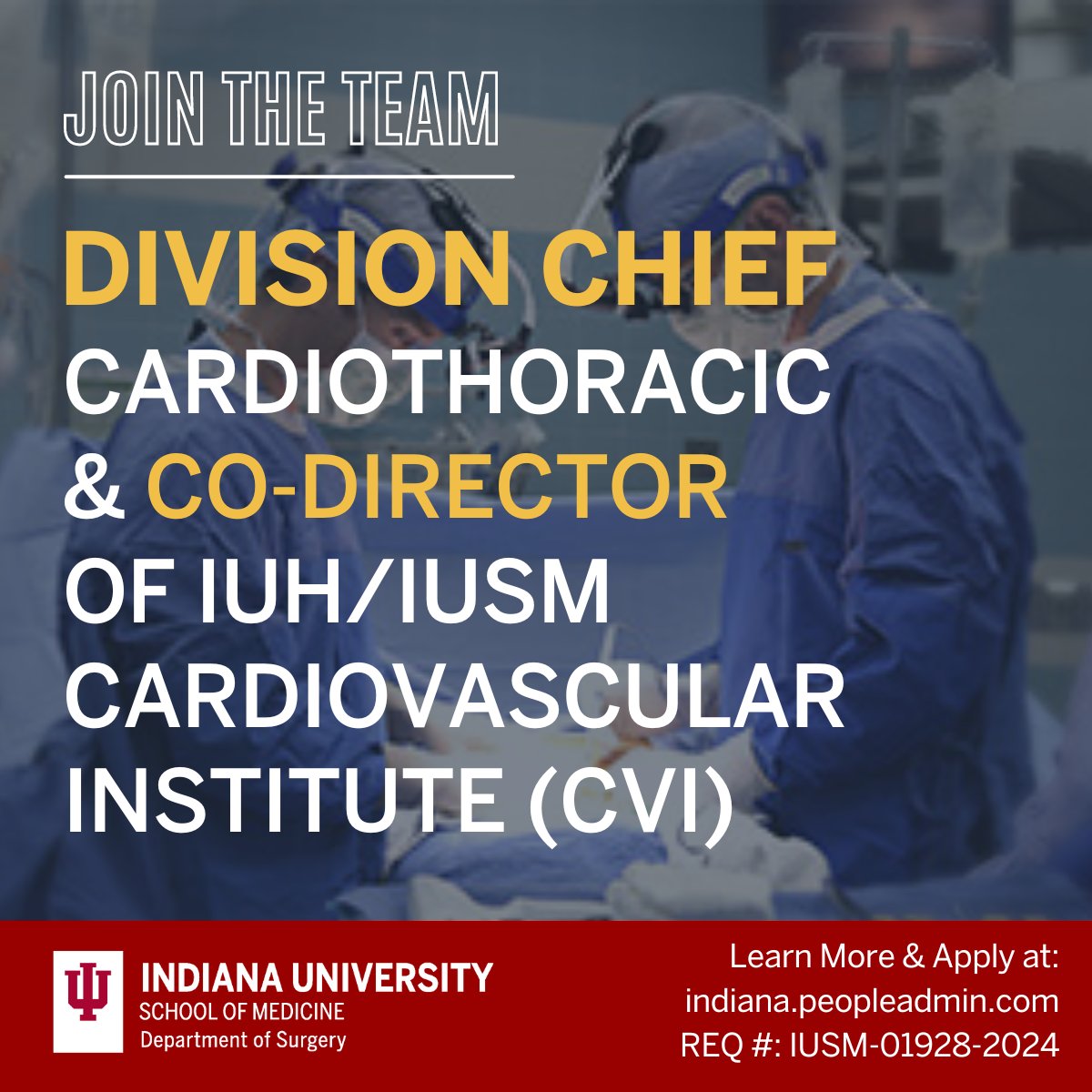 📢Major Leadership Opportunity in Cardiothoracic! Come join the team at Indiana University School of Medicine (IUSM) as the Division Chief of Cardiothoracic and Co-Director of the IUH/IUSM Cardiovascular Institute (CVI). We are seeking a visionary leader to guide our faculty in