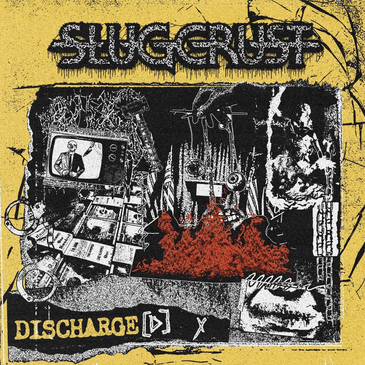 New single “Feral Natural” drops 4/26/24

Presave: distrokid.com/hyperfollow/sl…