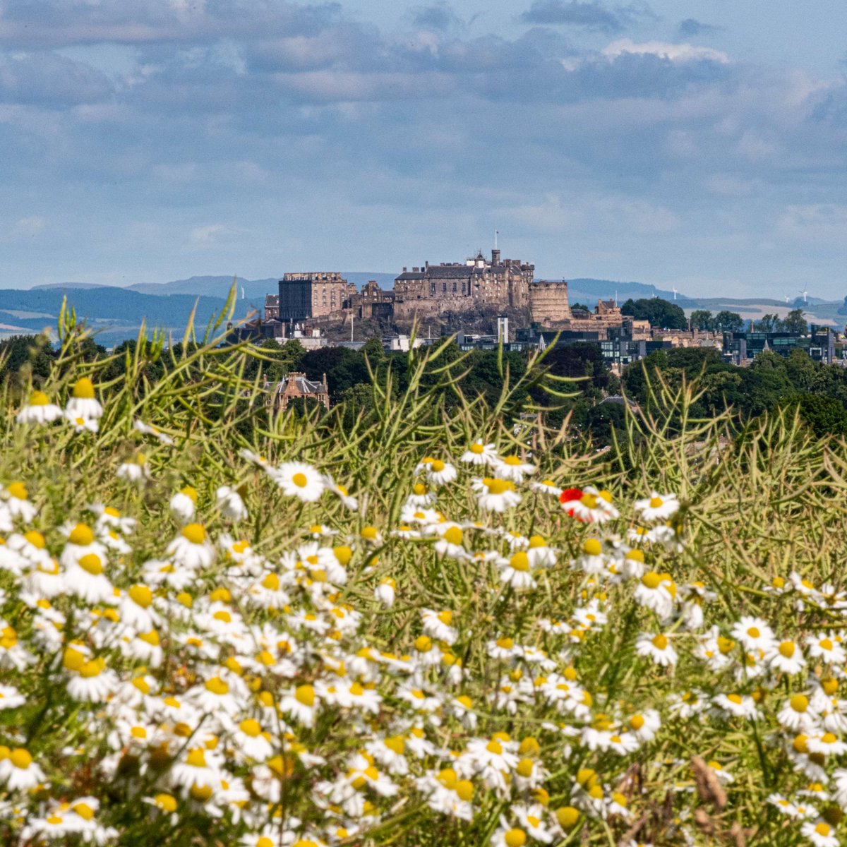 Q6 Edinburgh is booming marvellous in Spring 😍🌷

Share your favourite spring bloom moments with us! 📸

#ScotlandHour