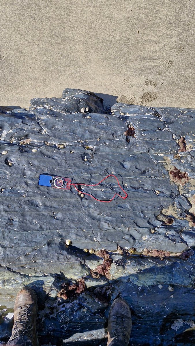 morgan_bugler's tweet image. Fifth day for undergraduates on the Tenby geological field trip. We  introduced them to their mapping area and lithologies ready for tomorrow. @JRawlingsVolc @OceanEarthUoS