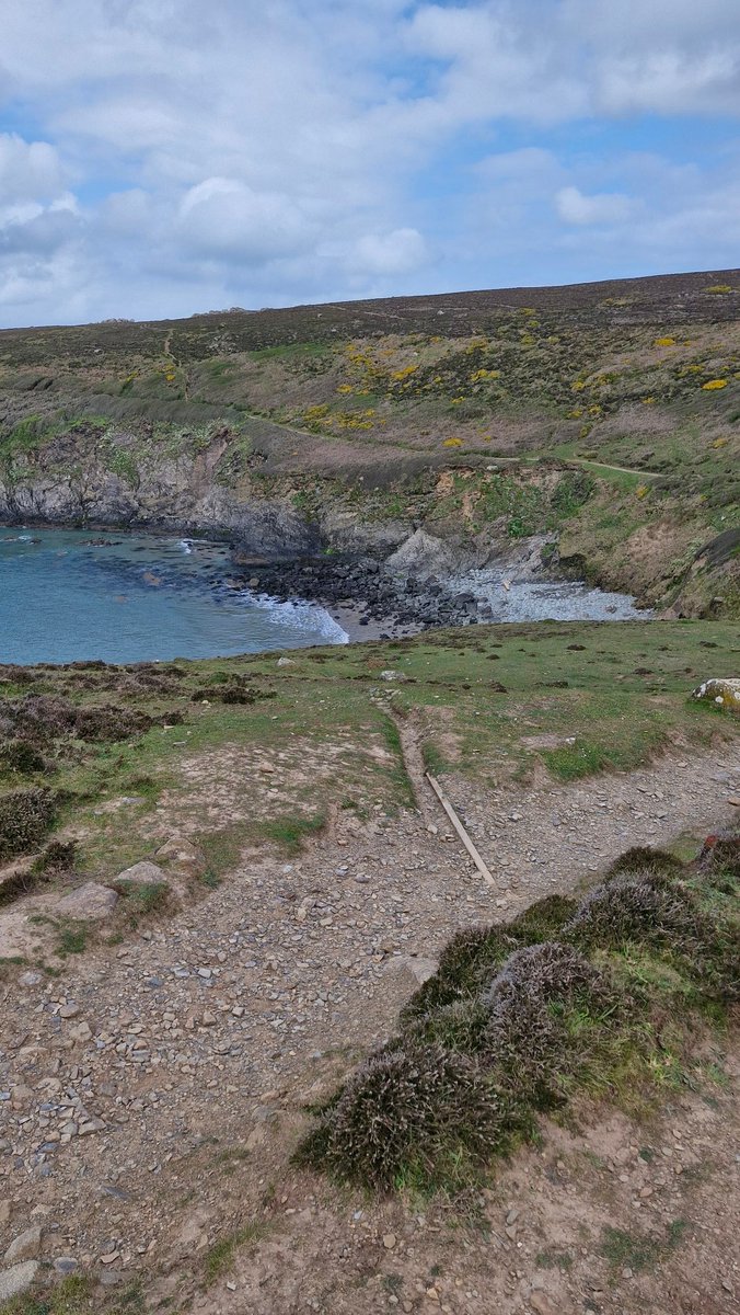 morgan_bugler's tweet image. Fifth day for undergraduates on the Tenby geological field trip. We  introduced them to their mapping area and lithologies ready for tomorrow. @JRawlingsVolc @OceanEarthUoS