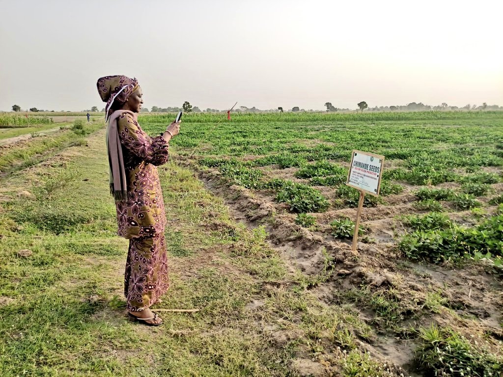 DG/CEO of NBMA Dr Agnes Yemisi Asagbra, leading her team to tour and inspect a PBR Cowpea farm in Kano state earlier today.