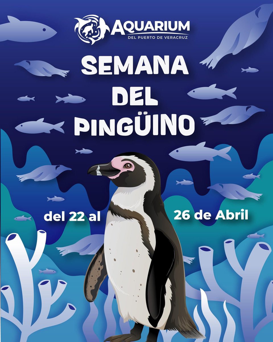 ¡Todavía mañana jueves 25 y viernes 26 puedes disfrutar de las actividades de la “Semana del Pingüino” 🐧! Visita Aquarium del Puerto de Veracruz para enterarte del programa de estos días 🤩