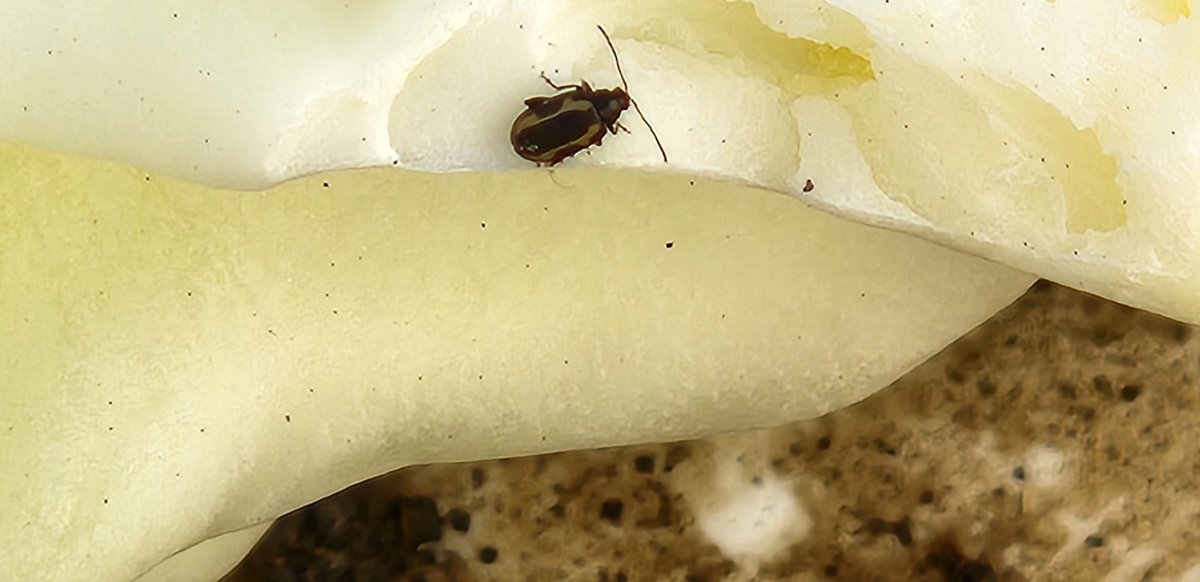 Tyler Wist tweet media