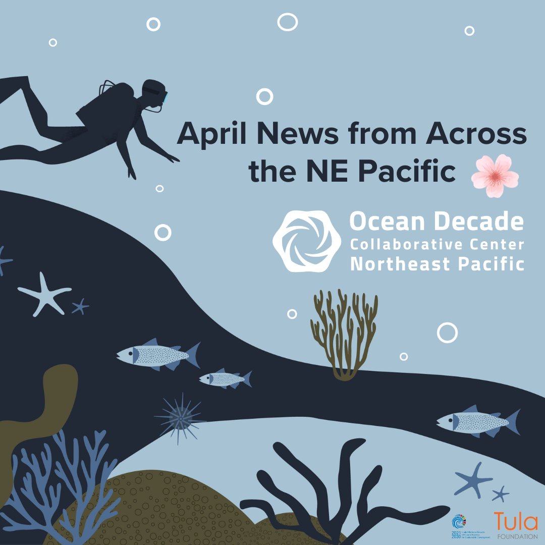 Our April newsletter just dropped! 🌸 We highlight @UNOceanDecade actions and events in the NEP, as well as an exciting new feature in our biomolecular observing series 🦠 and a special edition #DecadeDialogue 🦪👀 Haven't signed up yet? We got you 🔗 tinyurl.com/569uketb