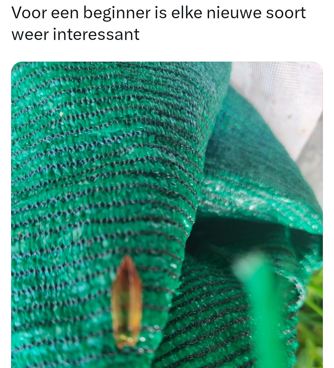 insecten_ecole tweet picture