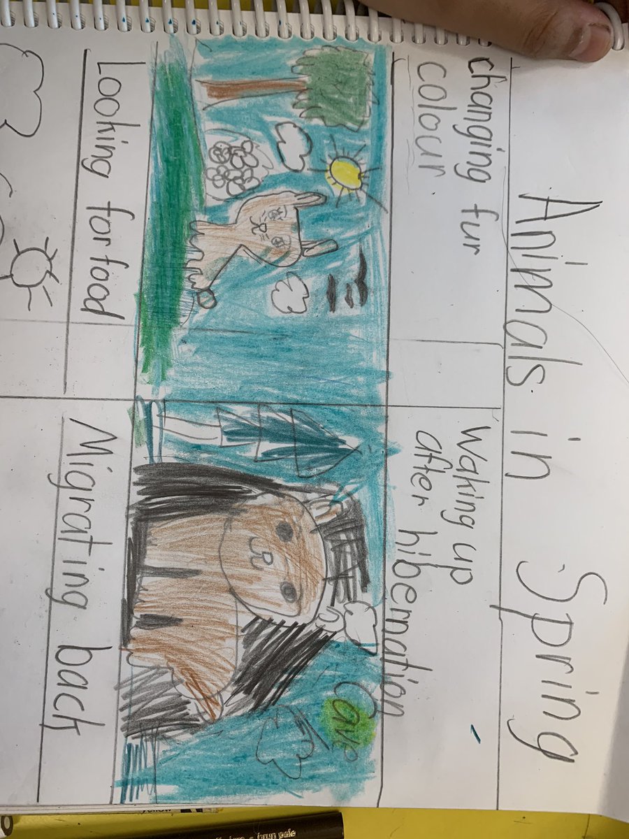 BPSHawks1 tweet media