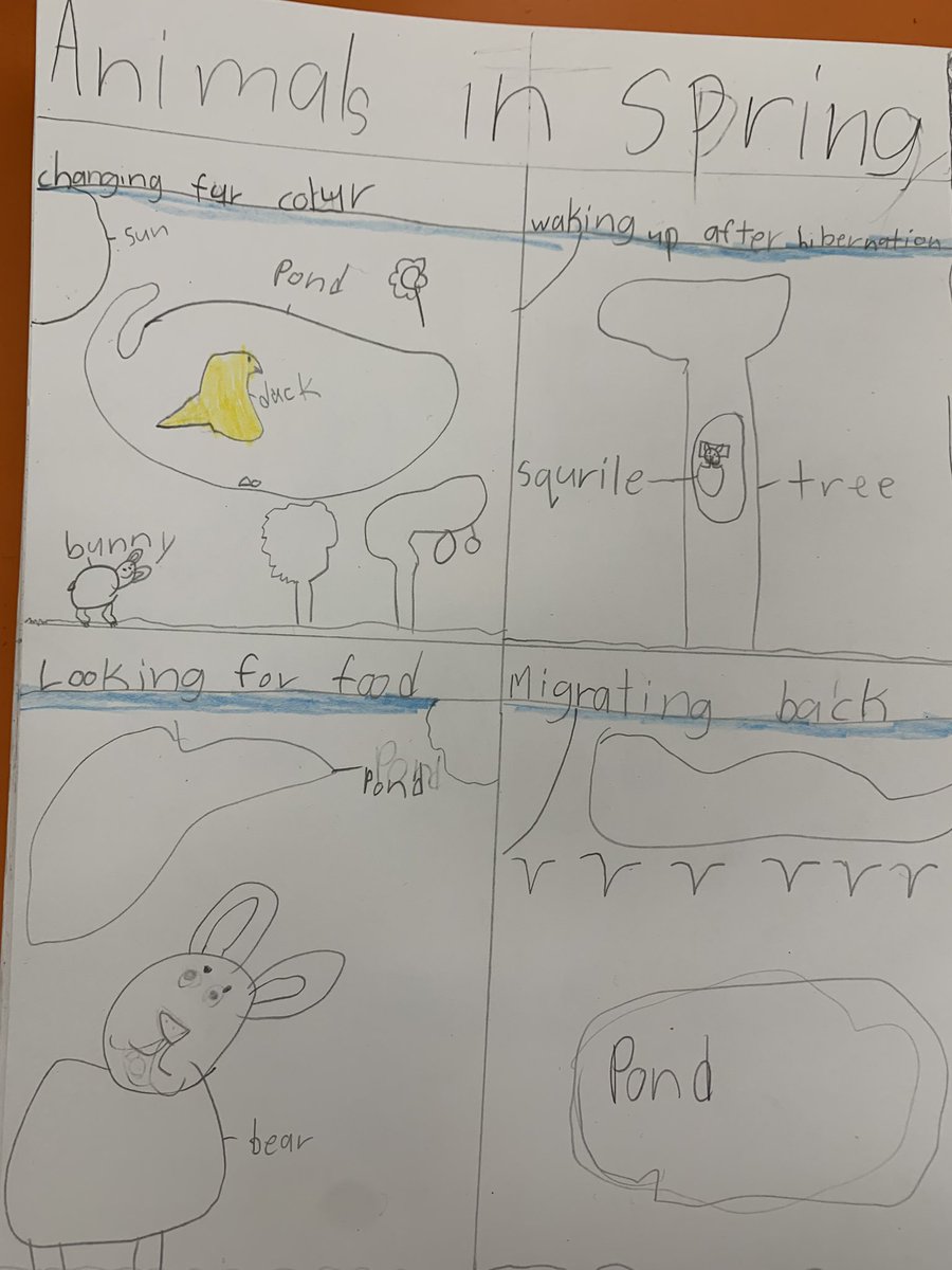 BPSHawks1 tweet media