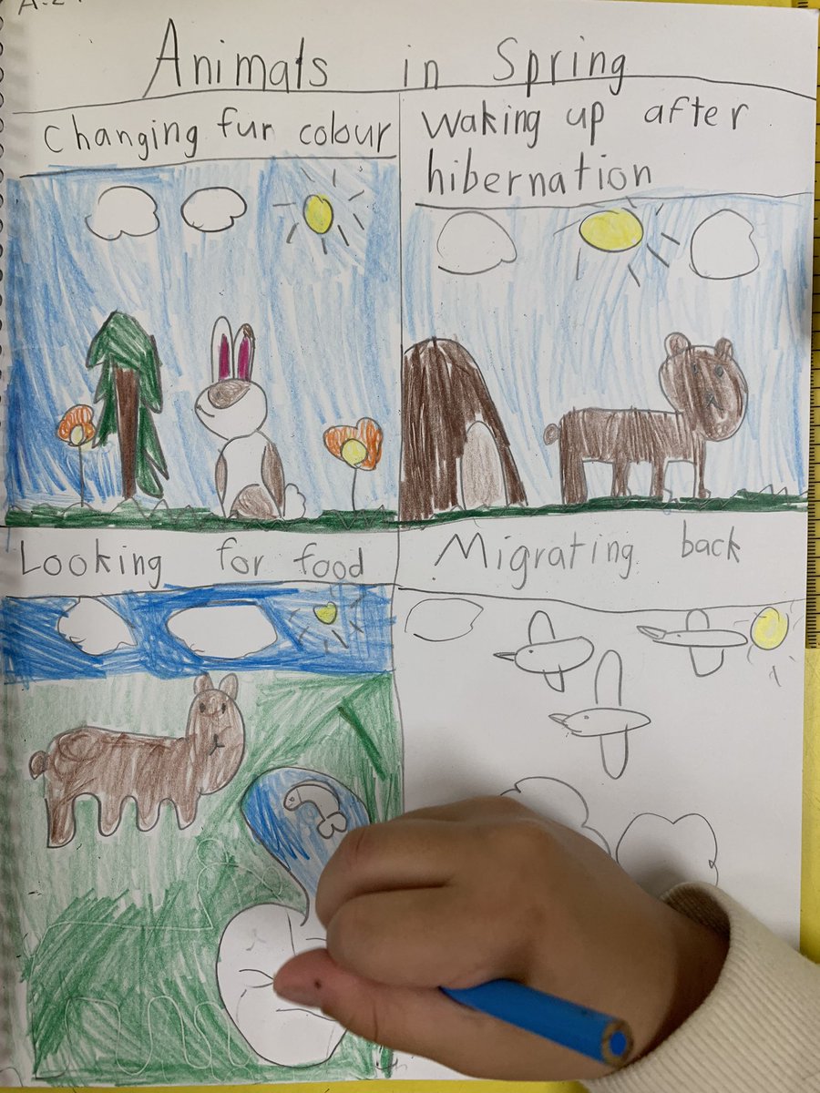 BPSHawks1 tweet media