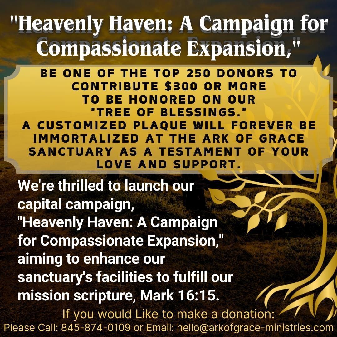 With your support, 'Heavenly Haven: A Campaign for Compassionate Expansion,' we'll construct new dwellings, improving the quality of life for our residents and welcoming new ones. 
Learn More Here: buff.ly/3xJ1M1Z 
 #animalsanctuary #animallovers #rescue #rehabanimal