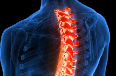 CureDisease's tweet photo. Your spinal cord can learn and recall without brain input and we finally know how thanks to animal studies
https://t.co/AP7atas0VY #animalresearch #mouseresearch https://t.co/EsQRl6qLrf